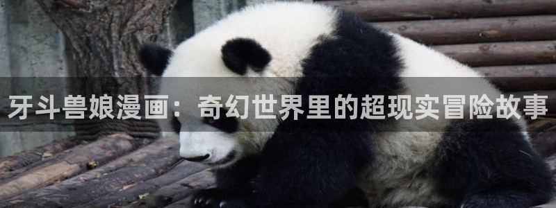 3d日韩漫画免费网站：牙斗兽娘漫画：奇幻世界里的超现实冒险故事